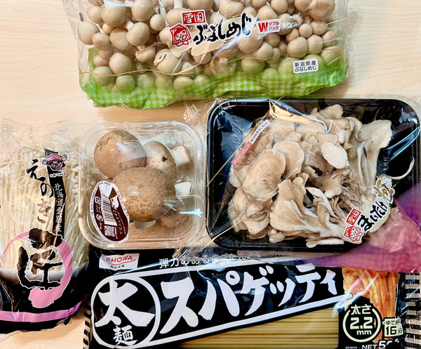 20230313kinokospa000