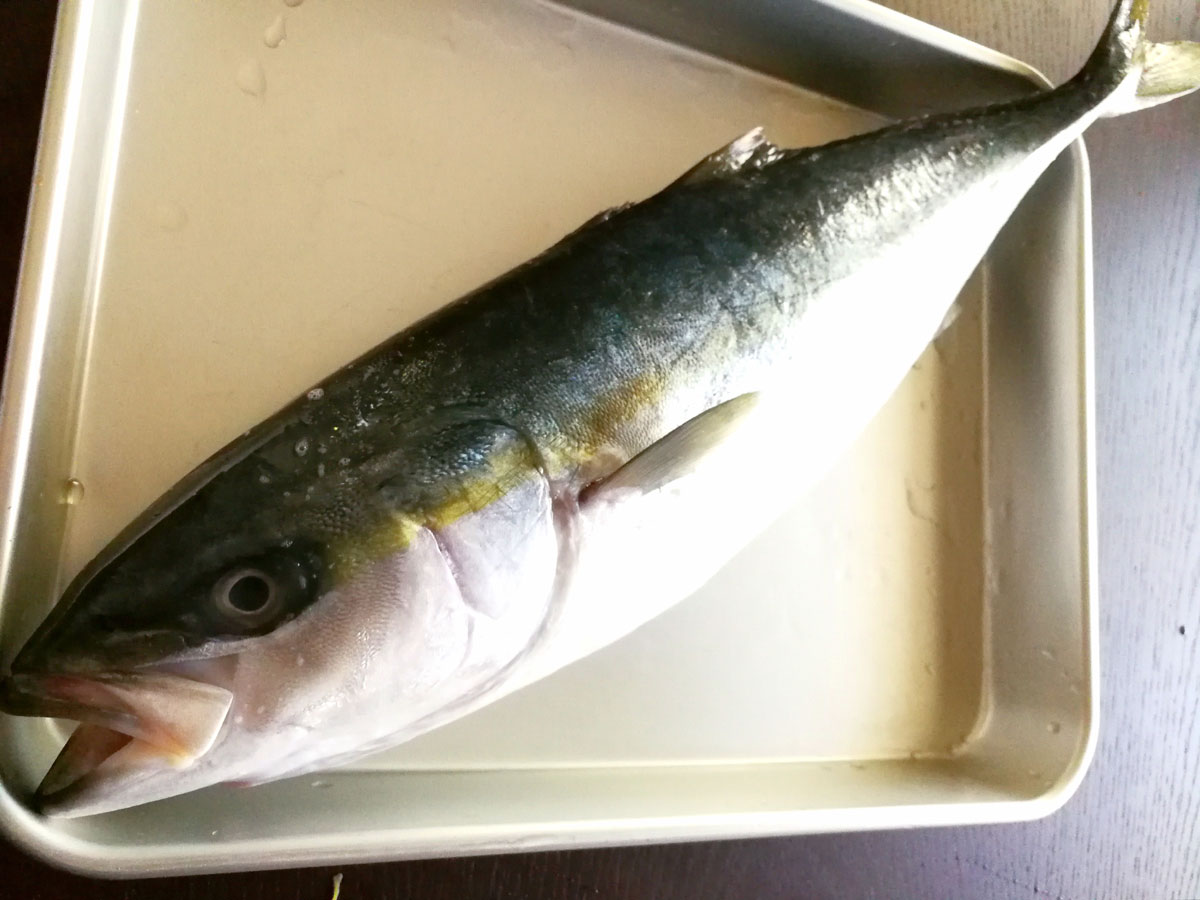 おうちご飯 フクラギ 刺身 アラ煮 青木葉 Eatful Life おうちご飯 フクラギ 刺身 アラ煮 青木葉 Eatful Life
