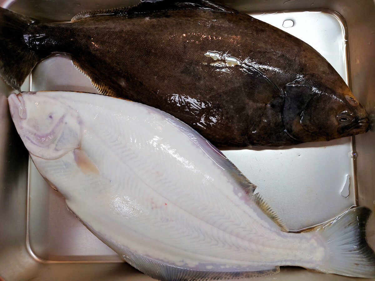 おうちご飯 オヒョウの昆布締め 鶏モツ煮 サラダ白カブの浅漬け 青木葉 Eatful Life