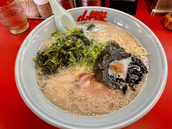 20230522yamaokaya003