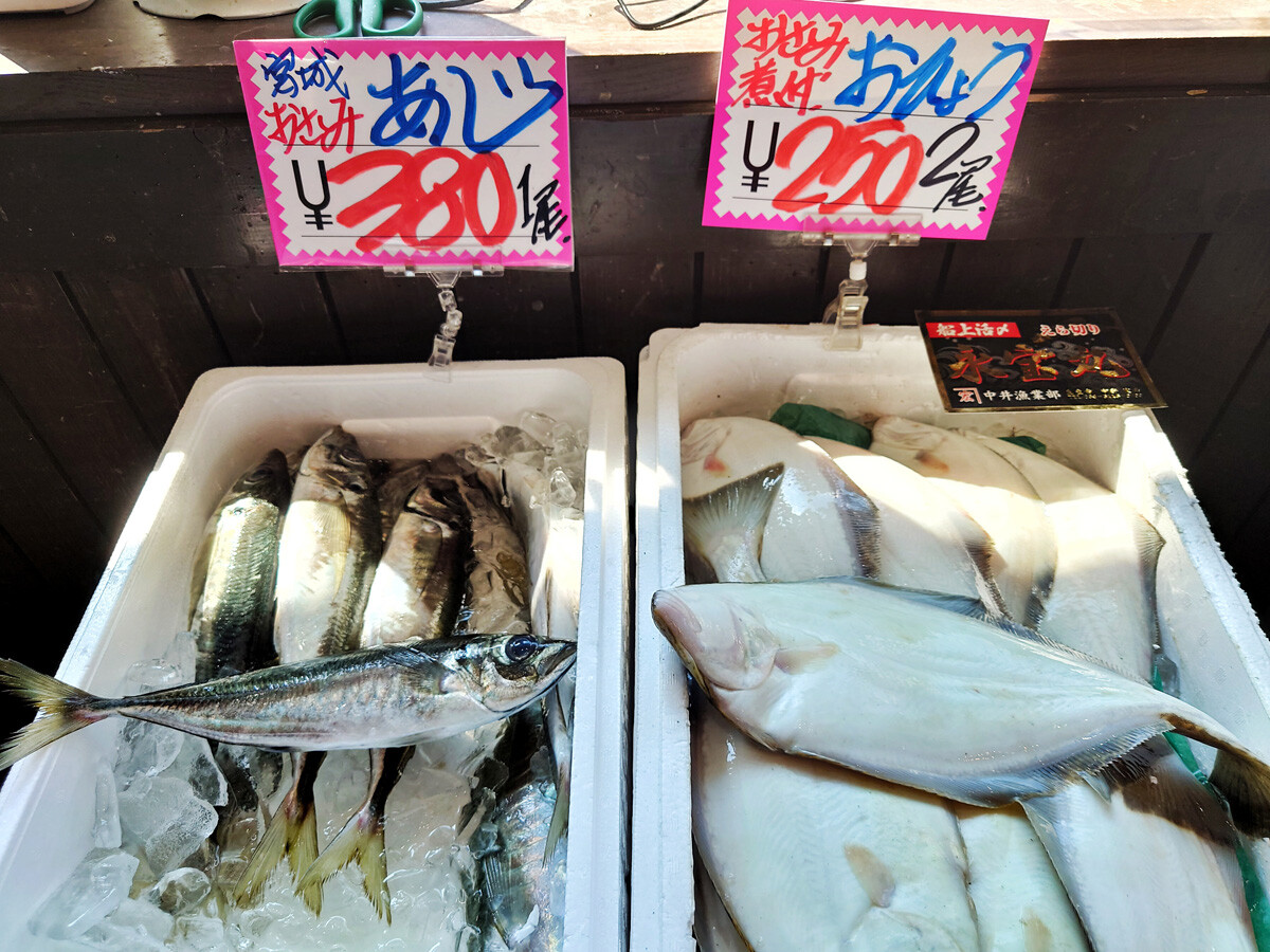 おうちご飯 オヒョウの昆布締め 鶏モツ煮 サラダ白カブの浅漬け 青木葉 Eatful Life