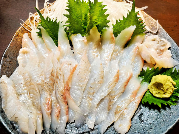 20200622sashimi008