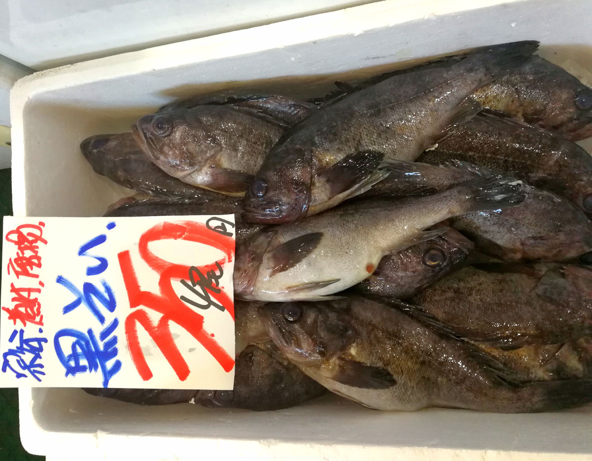 おうちご飯 サンマの刺身 黒ソイの竜田揚げ 青木葉 Eatful Life
