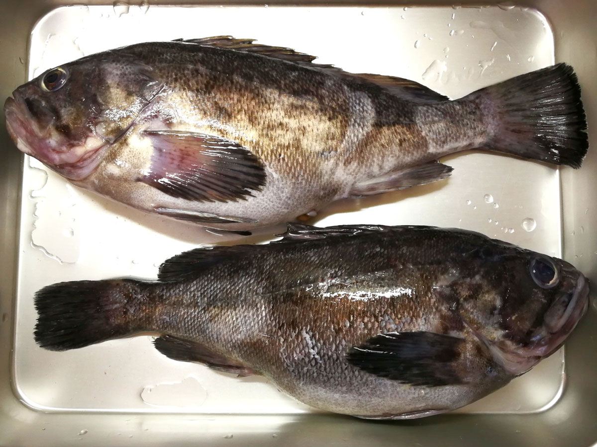 おうちご飯 黒ソイの煮付け 青木葉 Eatful Life おうちご飯 黒ソイの煮付け 青木葉 Eatful Life