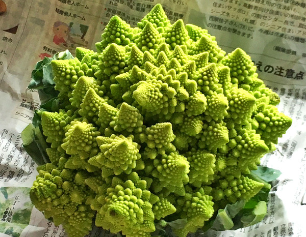 20160727romanesco01