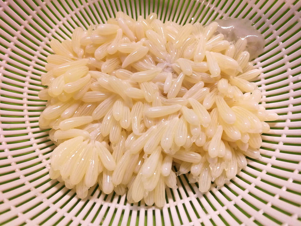 20190213mayonnaise012