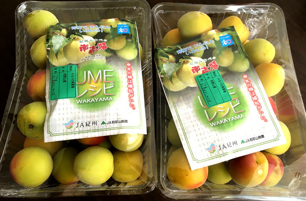 20160622umeboshi01