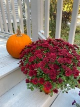 pumpkin & mom
