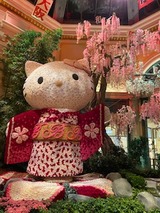841キテイー