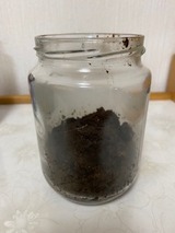 コーヒー