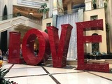 IMG_4489