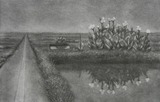 image007