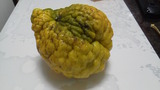 P1012893
