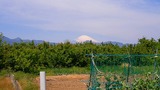 DSC_0367