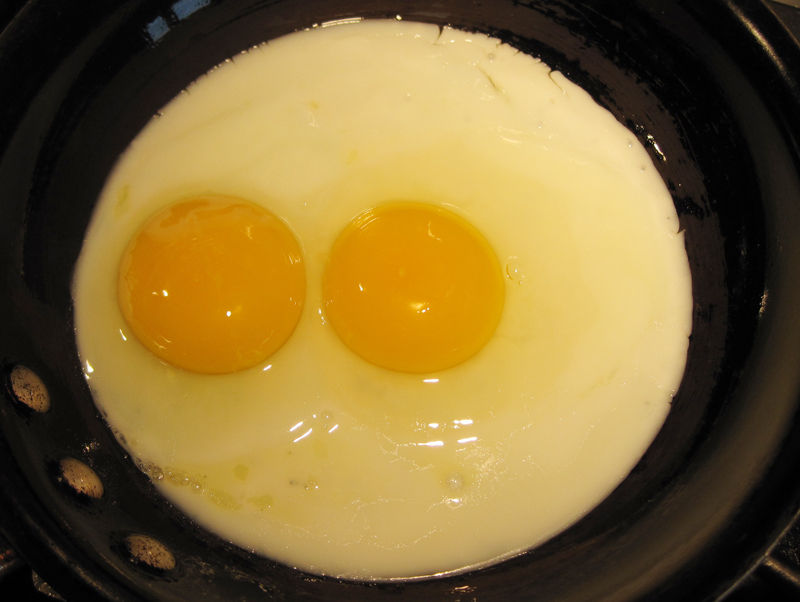 egg