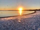 夕日