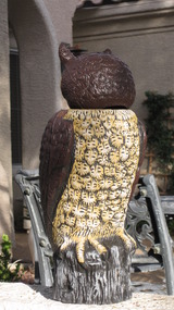 Owl_01