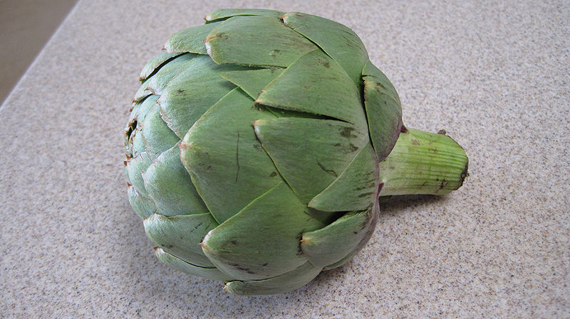 artichoke01