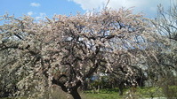 P1011938