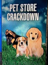 pet shop01