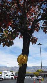 yellow_ribon