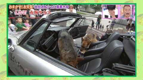 でがわ5
