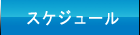 スケジュール