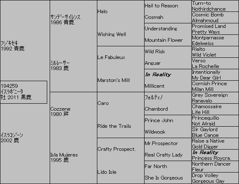 イスラボニータ５代血統表
