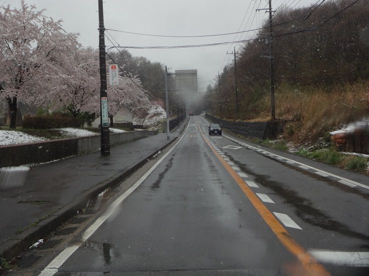 イメージ 34