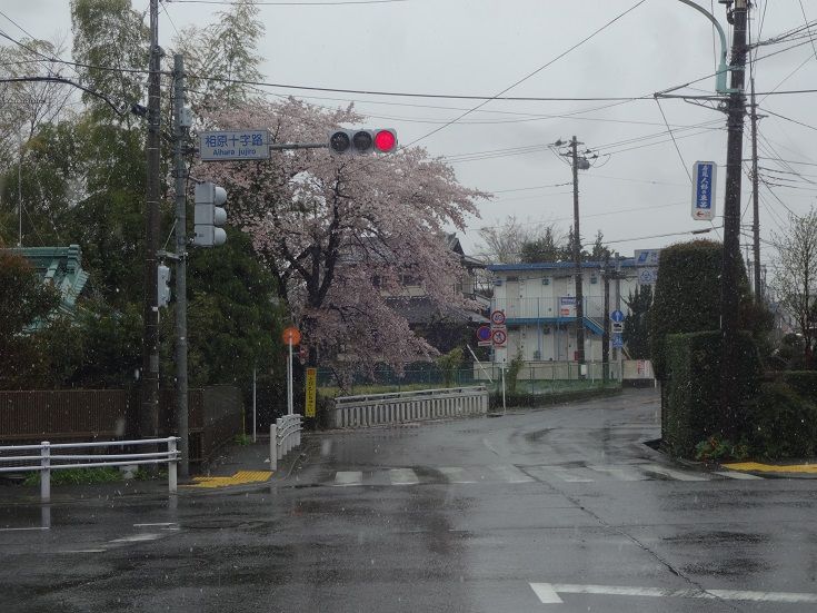 イメージ 10