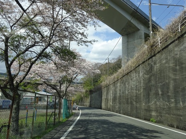 フィールドは果てしなく 期