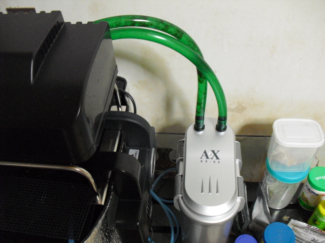 テトラ Ax 60のホースの改造とか その2 めだか飼育ブログ メダカの飼い方日記