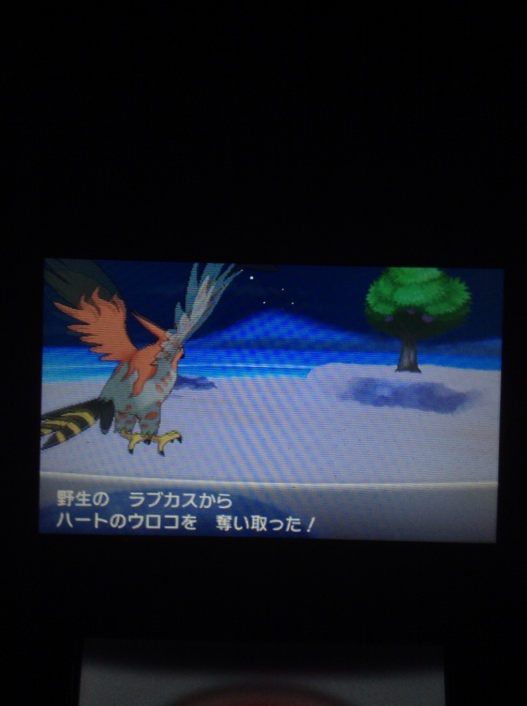 xy ハート の ウロコ