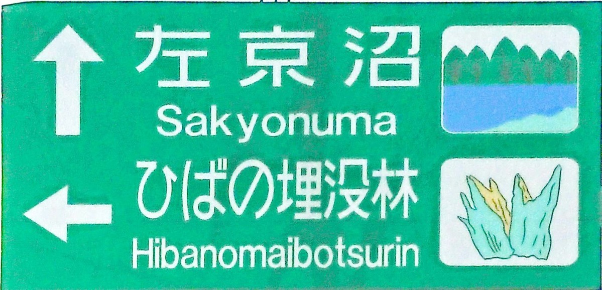 ÅìÄ̼«Æ°¼ÖÆ»1