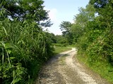 226-70