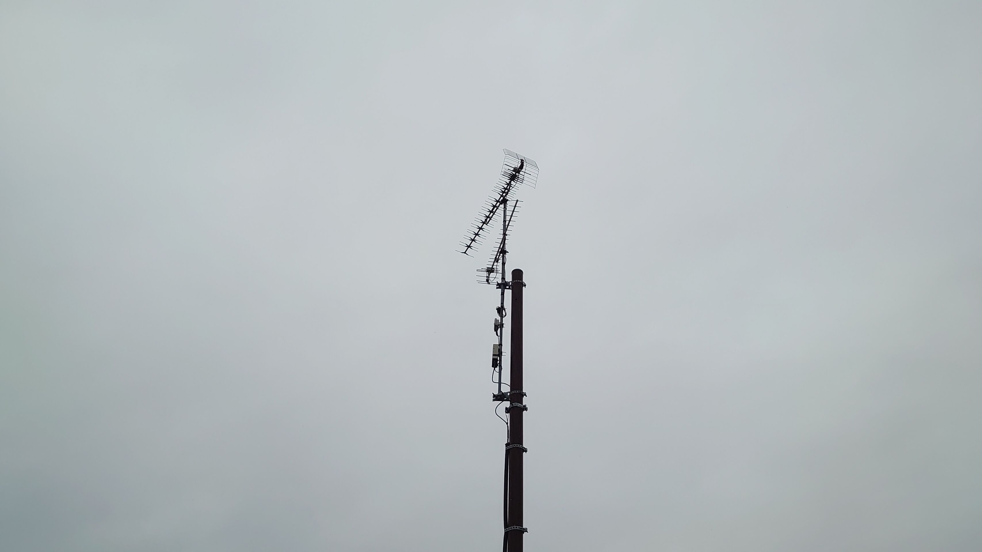 DSC_2532