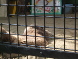 DSCF8170