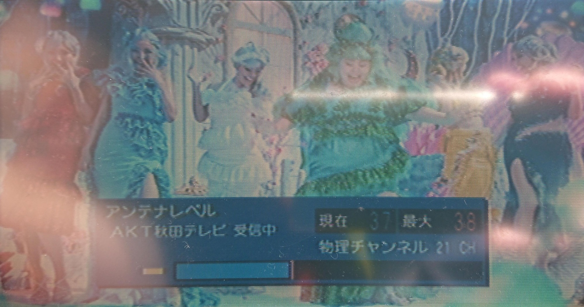 AKT���Ŀ�������Į�ե륻��