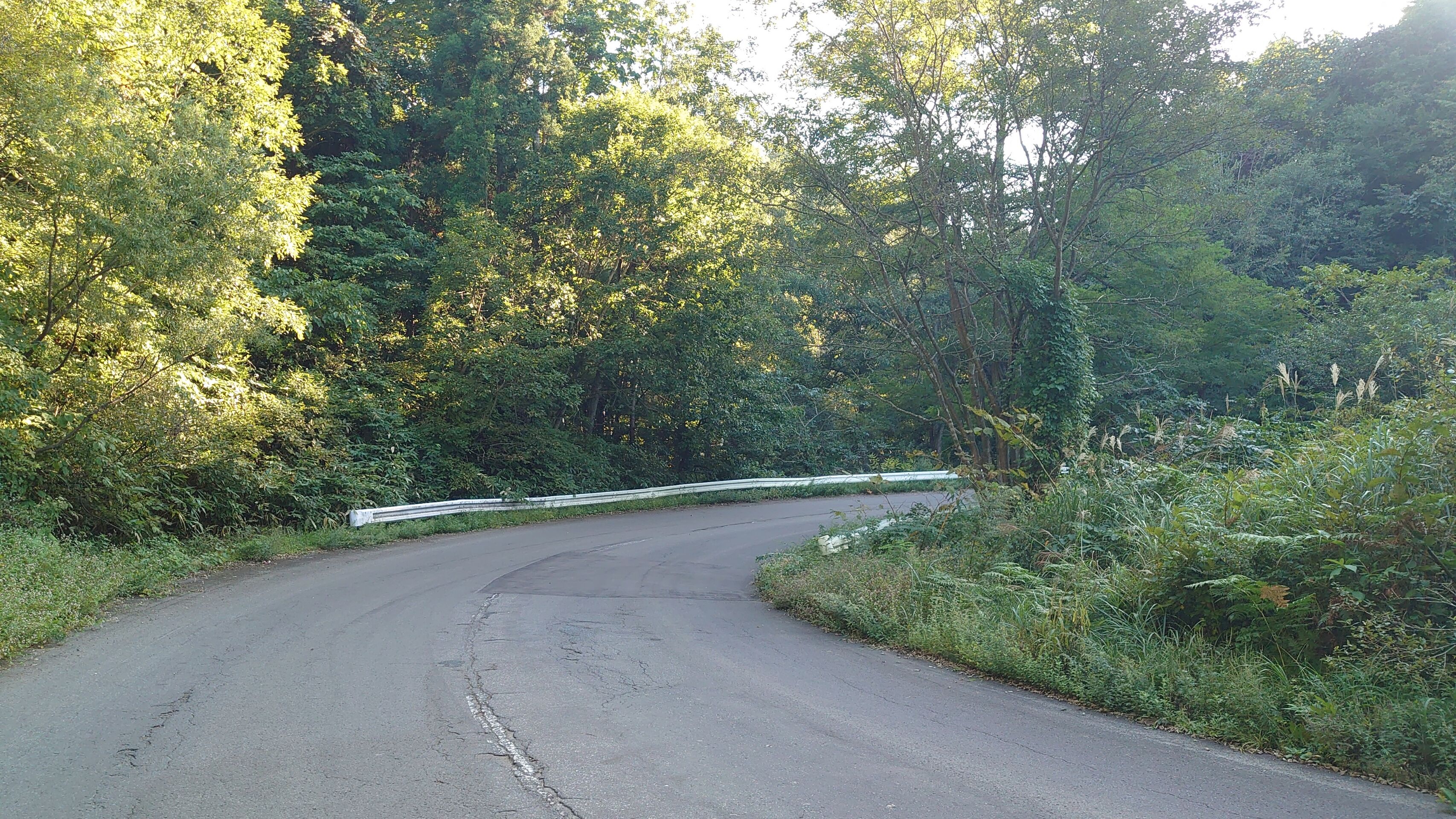 DSC_2374