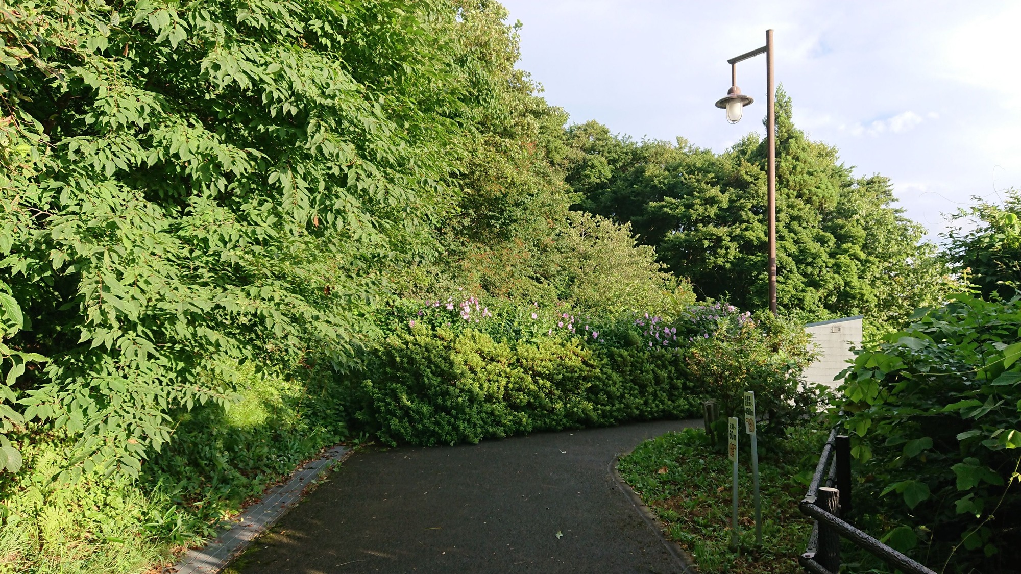 DSC_4634