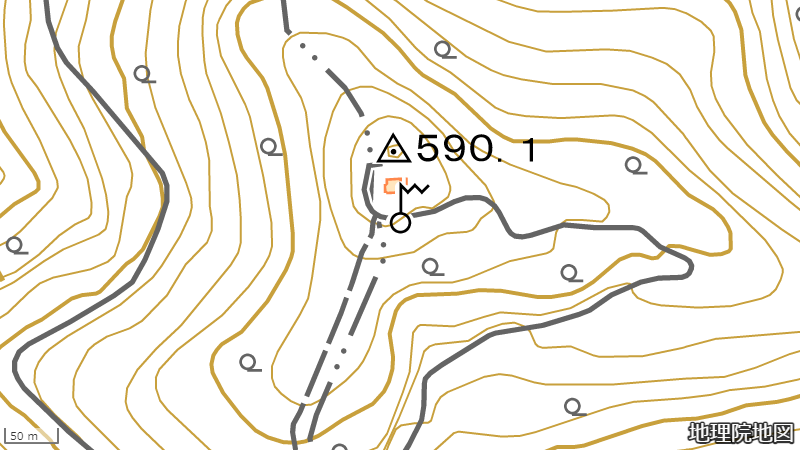 ��˹��̵����ѽ�