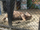 DSCF8167