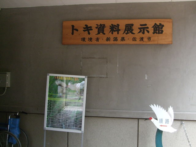 sado008