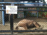 DSCF8165