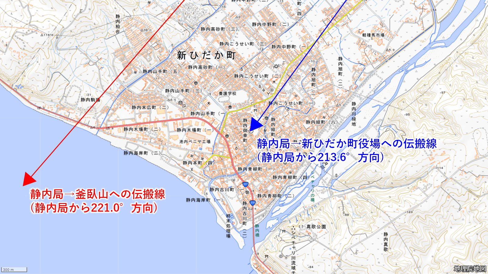 ����Գ���