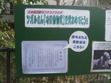 DSCF8172