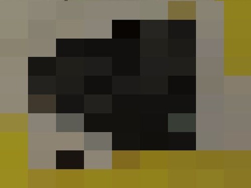 sz01¥â¥¶¥¤¥¯¡×