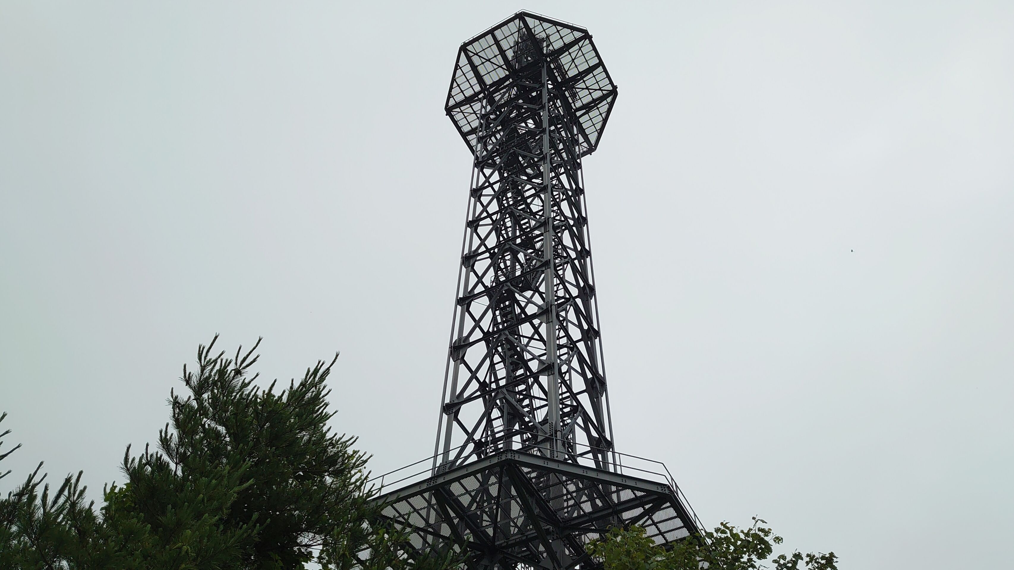 DSC_1458