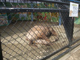 DSCF8163