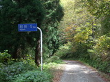 _SCF5731